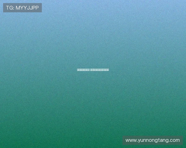 德甲边锋闪耀赛场 聚焦未来之星的崛起与挑战 德甲边锋闪耀赛场 聚焦未来之星的崛起与挑战