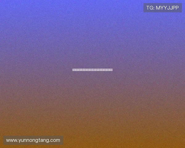 南特历史与文化探索:从古老港口到现代都市的变迁与发展 南特历史与文化探索:从古老港口到现代都市的变迁与发展