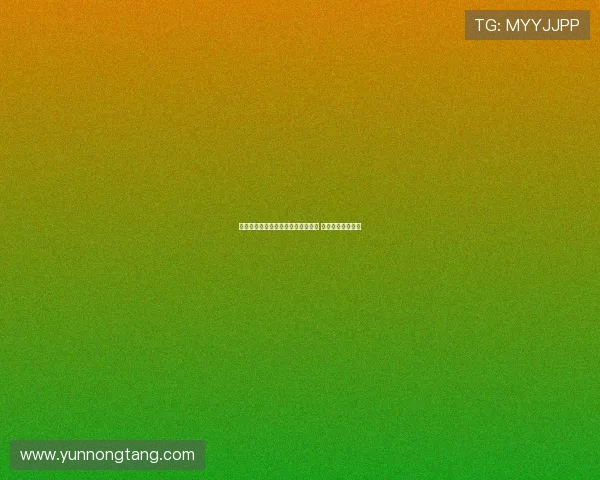 瓦尔迪能否助力意乙球队冲击意甲梦 圆足球生涯新高峰 瓦尔迪能否助力意乙球队冲击意甲梦 圆足球生涯新高峰