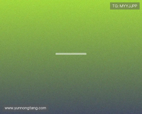 罗马诺曝切尔西中场乌戈舒库即将加盟伯恩利加强中场实力 罗马诺曝切尔西中场乌戈舒库即将加盟伯恩利加强中场实力