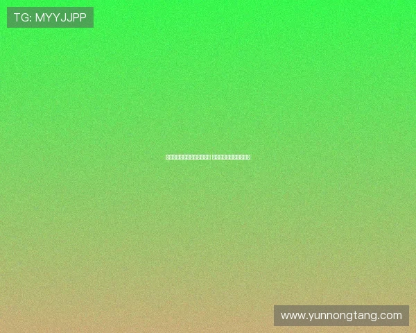 法甲球队替补球员潜力大揭秘 如何通过替补席展现价值 法甲球队替补球员潜力大揭秘 如何通过替补席展现价值