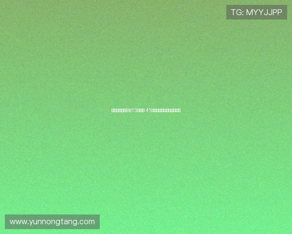 重庆渝超联赛9月13日启幕 41支球队可引进外援争夺冠军 重庆渝超联赛9月13日启幕 41支球队可引进外援争夺冠军