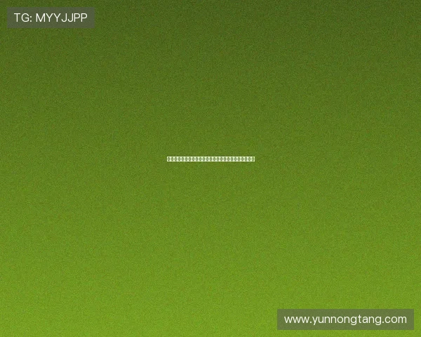 马竞冈萨雷斯转会形式将影响热格罗瓦为核心的未来布局 马竞冈萨雷斯转会形式将影响热格罗瓦为核心的未来布局