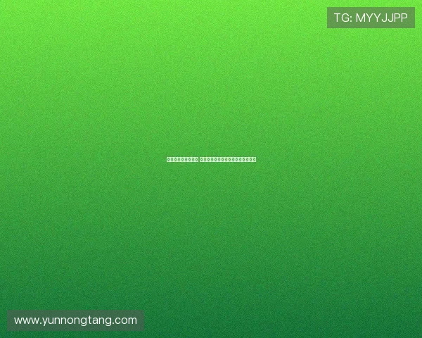 曼联计划引进新中场 托比科利尔将被外租为转会腾出空间