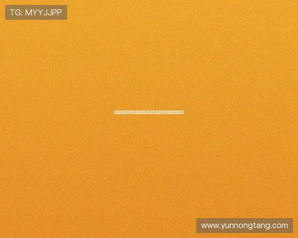 热刺和勒沃库森持续关注阿克利乌什转会动态并密切观察其表现